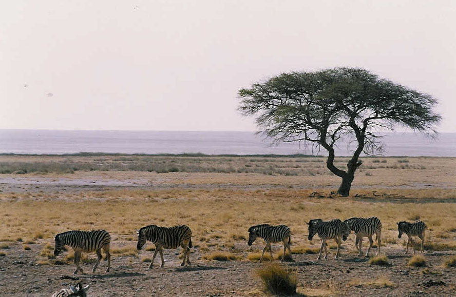 Namibia